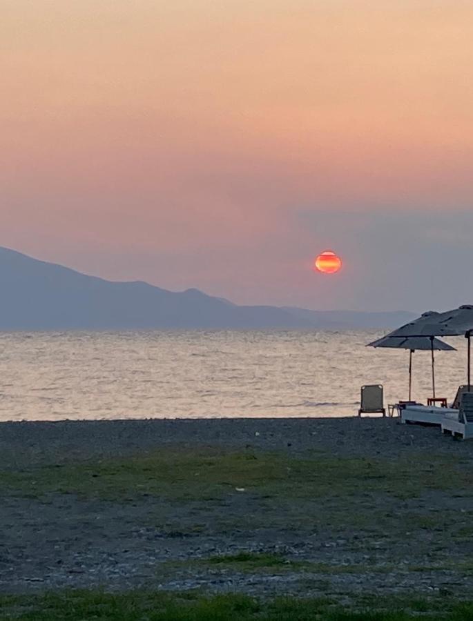 Mirtia Hotel Pefki  Zewnętrze zdjęcie